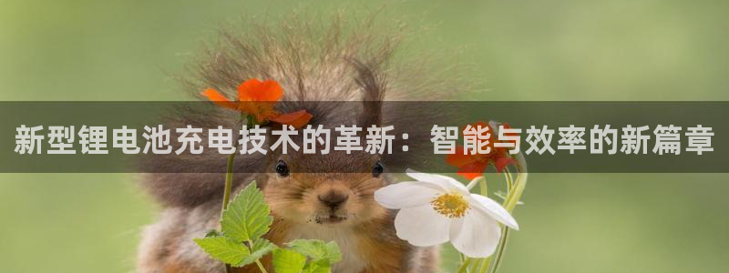 TP钱包 比特币 区别