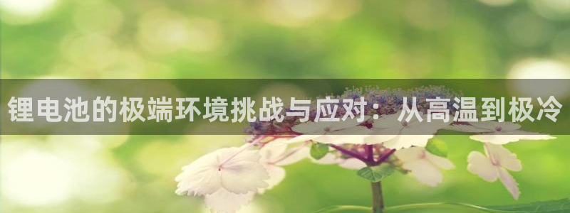 Tp钱包u换TRX步骤详解